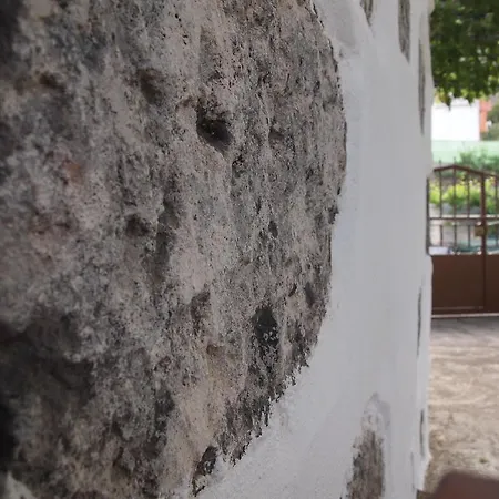 Casa Conchita Nyaraló *